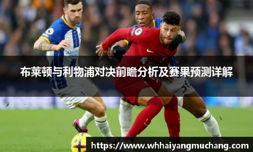 布莱顿与利物浦对决前瞻分析及赛果预测详解