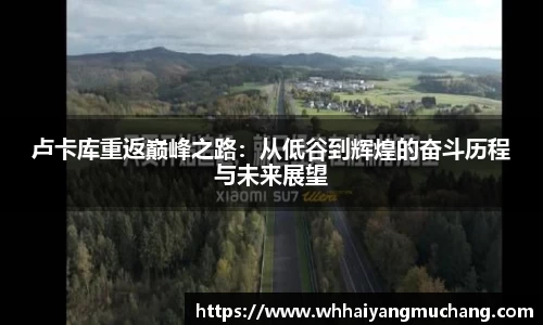 卢卡库重返巅峰之路：从低谷到辉煌的奋斗历程与未来展望
