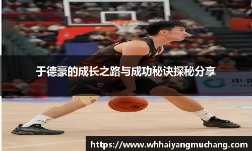 于德豪的成长之路与成功秘诀探秘分享