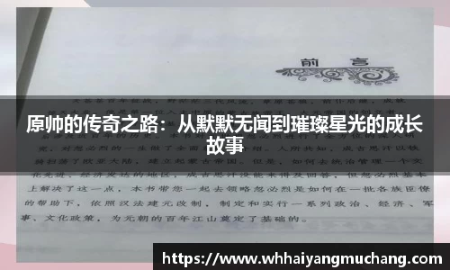 原帅的传奇之路：从默默无闻到璀璨星光的成长故事