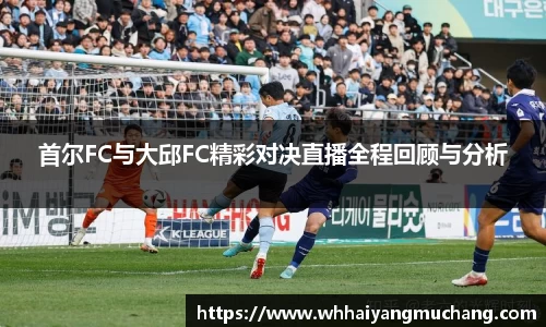 首尔FC与大邱FC精彩对决直播全程回顾与分析