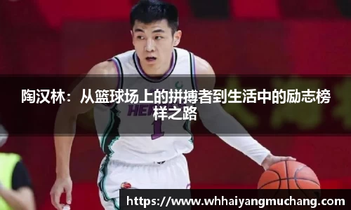 陶汉林：从篮球场上的拼搏者到生活中的励志榜样之路
