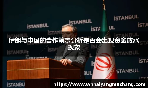 伊朗与中国的合作前景分析是否会出现资金放水现象