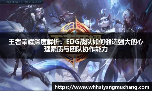 王者荣耀深度解析：EDG战队如何锻造强大的心理素质与团队协作能力