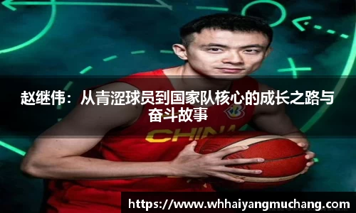 赵继伟：从青涩球员到国家队核心的成长之路与奋斗故事