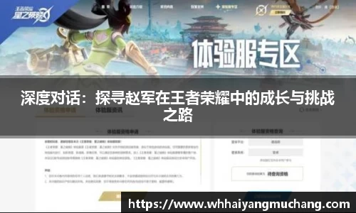 深度对话：探寻赵军在王者荣耀中的成长与挑战之路