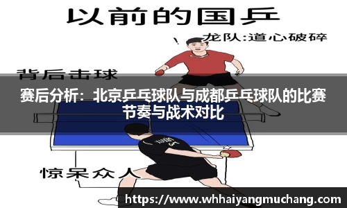 赛后分析：北京乒乓球队与成都乒乓球队的比赛节奏与战术对比