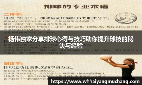 杨伟独家分享排球心得与技巧助你提升球技的秘诀与经验