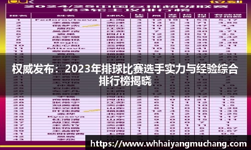 权威发布：2023年排球比赛选手实力与经验综合排行榜揭晓