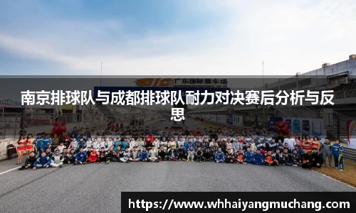 南京排球队与成都排球队耐力对决赛后分析与反思