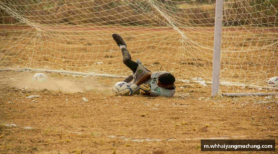 勇攀高峰，无所畏惧！